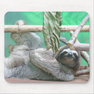 Preguiça Mousepad