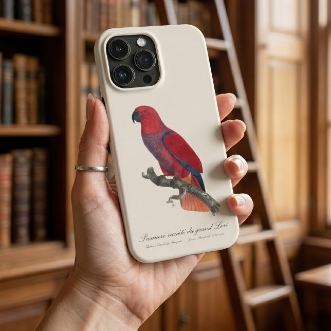 Premiere variete du Grand Lori / Eclectus parrot (Vosmaer Eclectus Parrot, Eclectus Roratus Vosmaeri. iPhone Case)