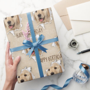 Presente Aniversário Ouro Retriever Em Buraco De Papel