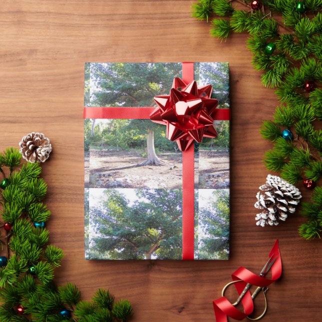 Presente Árvore de papel embrulhado por sabedoria (Presente de Natal)