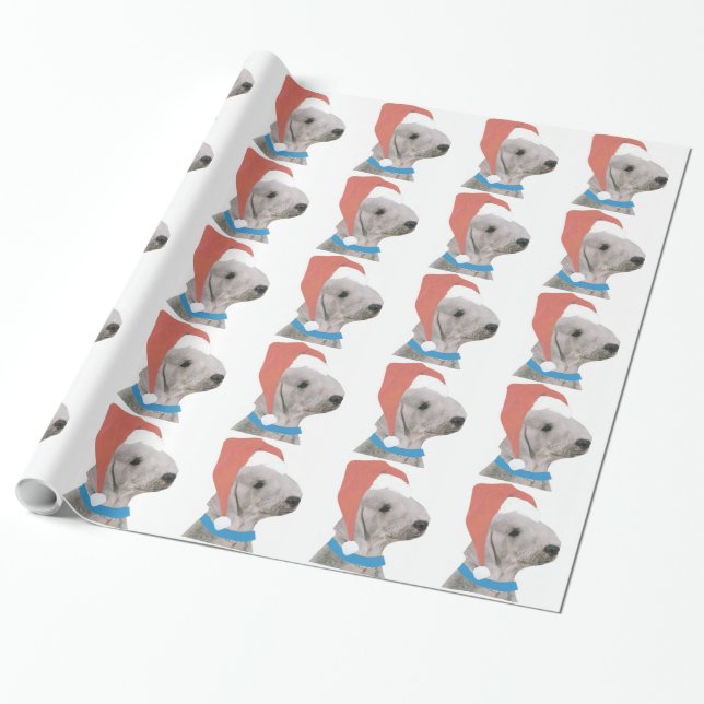 Presente Bedlington Terrier no papel de envolvimento do (Desenrolado)