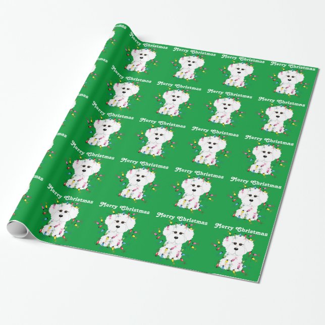 Presente Bichon Frise ilumina o papel de envolvimento do (Desenrolado)