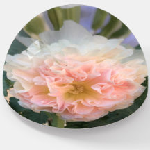 Presente Bonito de vidro cor-de-rosa para o papel