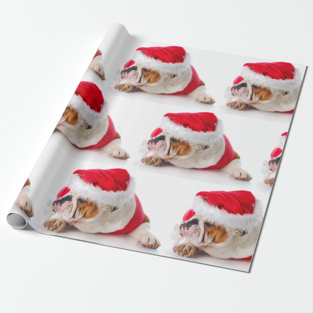 Presente BULLDOG COM Papel de Natal, NATAL (Desenrolado)