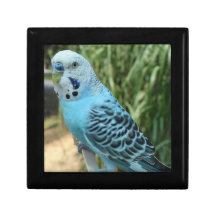 Caixa de Manutenção de Madeira Jewelry