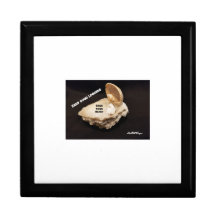 Caixa de Manutenção de Madeira Jewelry Personaliza