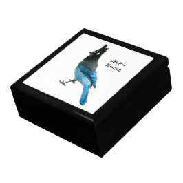 Presente Caixa de manutenção Stellar Blue Jay