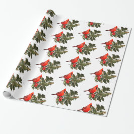 Presente Cardeal sobre papel de moldagem Holly