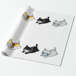 Presente CAT COM Papel de Enrolamento EM MASSA