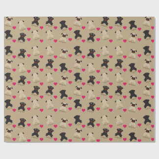 Presente Caudas encaracolado, papel de envolvimento mole do