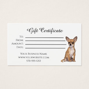 presente certificado chihuahua cão