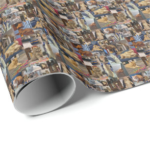 Presente Colagem de Fotografias de Kitten, Papel de Enrolam
