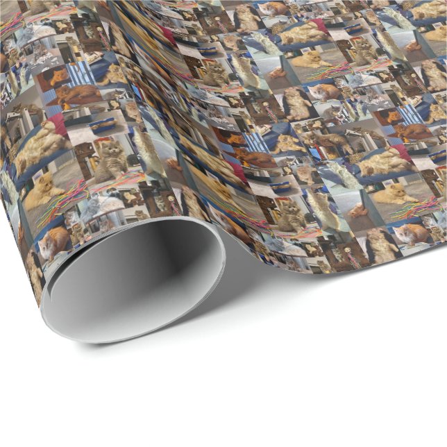Presente Colagem de Fotografias de Kitten, Papel de Enrolam (Ponta do rolo)