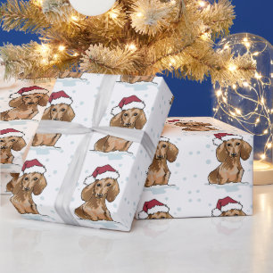 Presente Dachshund em papel de ondulação de neve