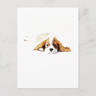 Presente de Cartão Postal do Cavalier King Charles