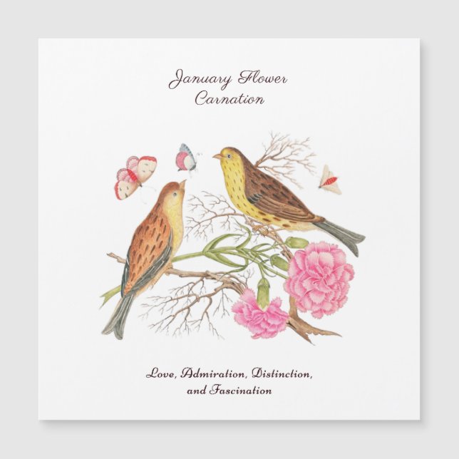 Presente de Nascimento do Dia de Nascimento do Flo (Frente)