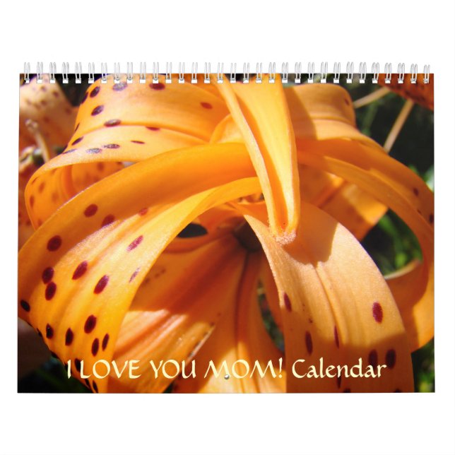 PRESENTE DE NATAL MÃE Calendário EU AMO VOCÊ MÃE! (Capa)