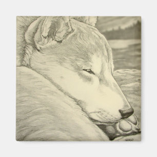 Presente do Íman do Rouco de Imã de geladeira Shib