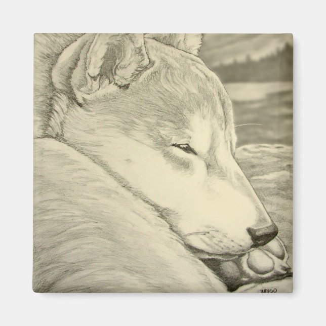 Presente do Íman do Rouco de Imã de geladeira Shib (Frente)