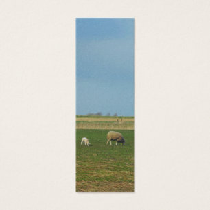 Presente do marcador da foto da paisagem dos