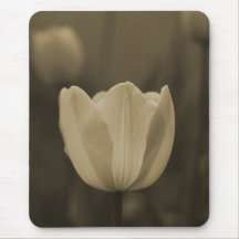 Presente do mousepad da flor da tulipa do solteiro
