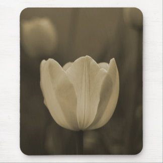 Presente do mousepad da flor da tulipa do solteiro