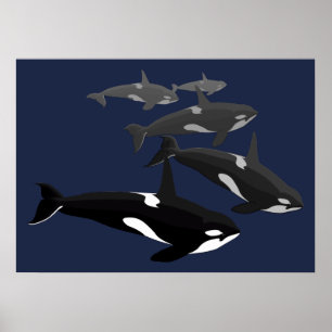Presente dos Impressões de Arte de Baleia Poster 