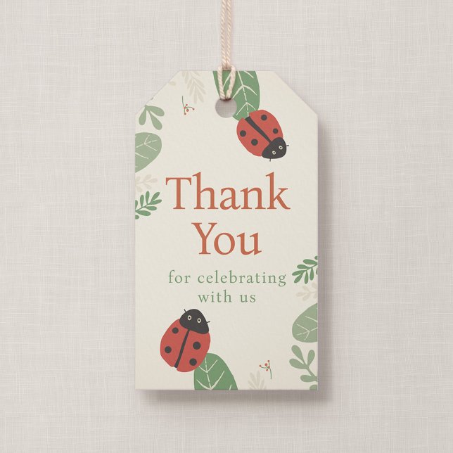 Presente Etiqueta de Agradecimento para Favor de Aniversári (Ladybird Meadow - Birthday Thank You Tag, Front)