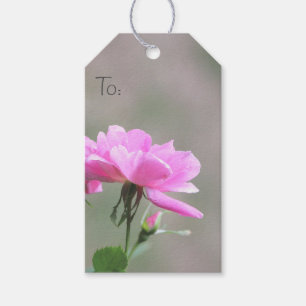 Presente Etiqueta Rosa para Separação Pequena