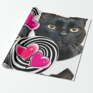 Presente Feliz Aniversário Enrolando Papel de Gata Aniversá