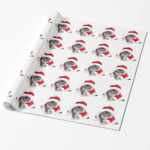 Presente Gatinho do Natal no papel de envolvimento do