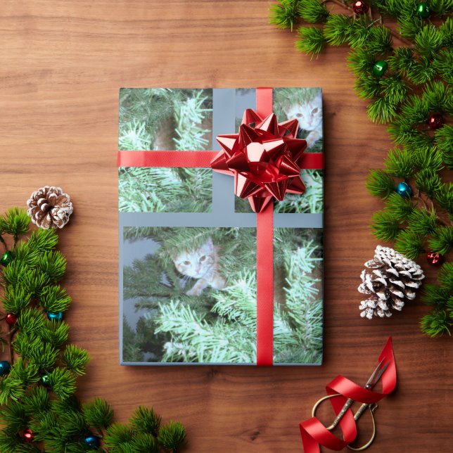 Presente Gato No Papel De Embalagem De Árvore (Presente de Natal)