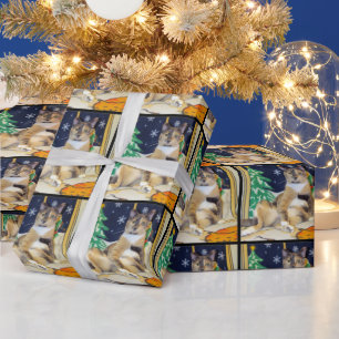 Presente (Gato) papel de envolvimento do Natal do muffin de