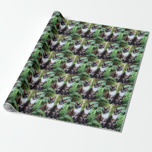 Presente Gêmeos de Gatos Siameses de Chocolate, Papel de Mo