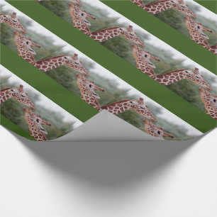 Presente Girafas no papel de envolvimento do amor