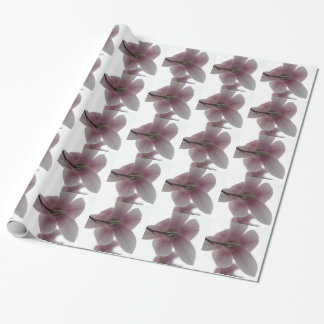 Presente H.A.S. Arts Magnolia padrão Papel de ondulação