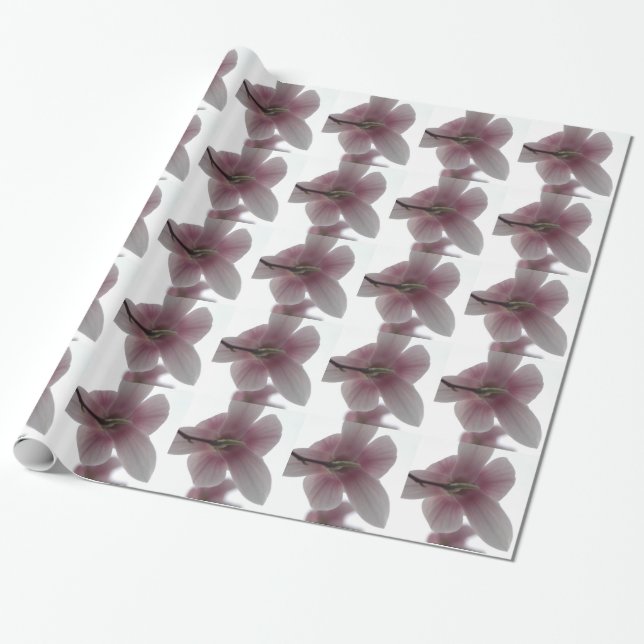 Presente H.A.S. Arts Magnolia padrão Papel de ondulação (Desenrolado)