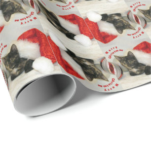 Presente Natal do Holley - Papel de enrolar Gato/Kitten