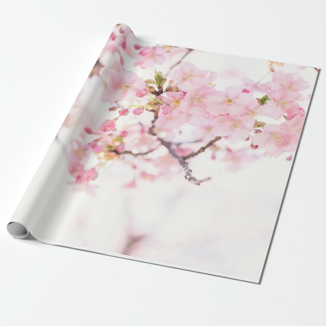 PRESENTE PAPEL DE EMBALAGEM: CHERRY BLOSSOMS  (Desenrolado)