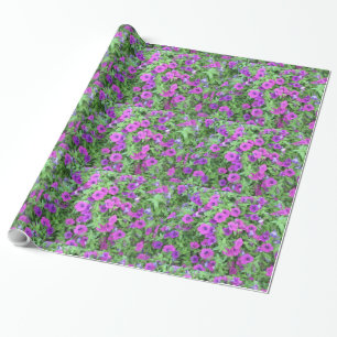 Presente Papel De Embalagem Com Películas De Petunias Roxa