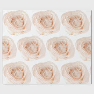 Presente Papel de emblema de flor branca rosa