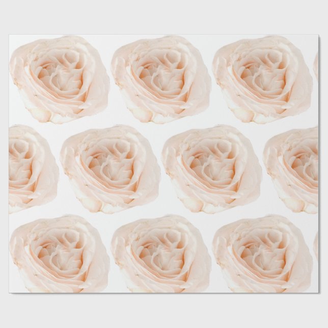 Presente Papel de emblema de flor branca rosa (Aberto)