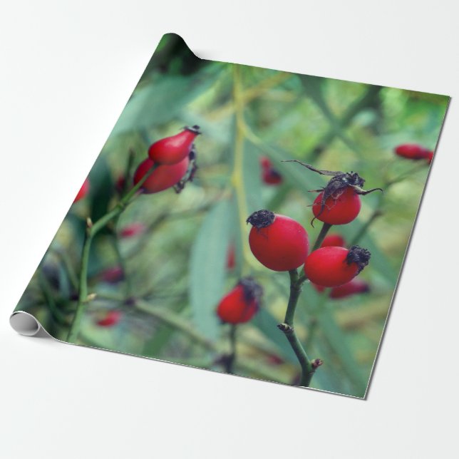 Presente Papel de emblema fotográfico de outono da rosa (Desenrolado)