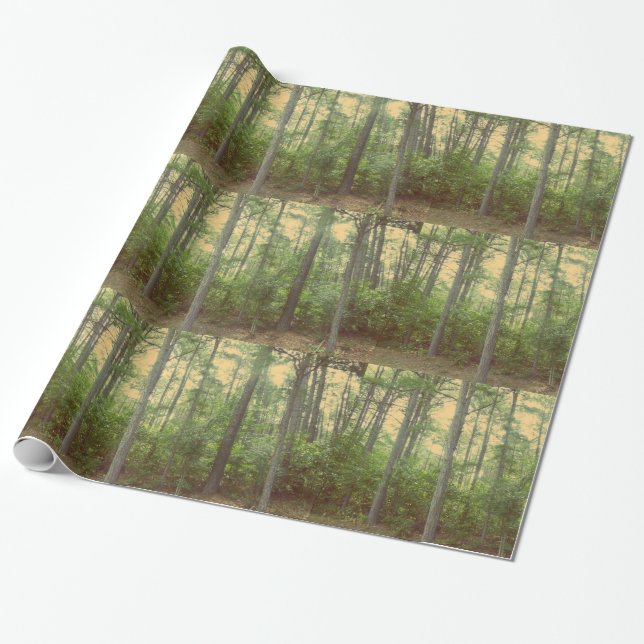 Presente Papel de embrulhamento de árvores de floresta (Desenrolado)