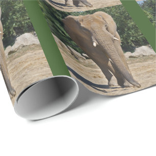 Presente Papel de embrulhamento de elefantes africanos