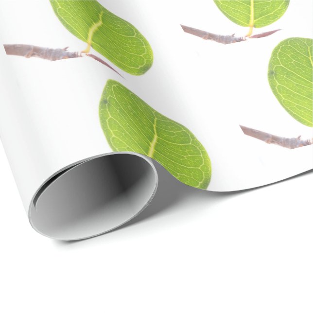 Presente Papel de empacotamento de textura verde-rica em fi (Ponta do rolo)