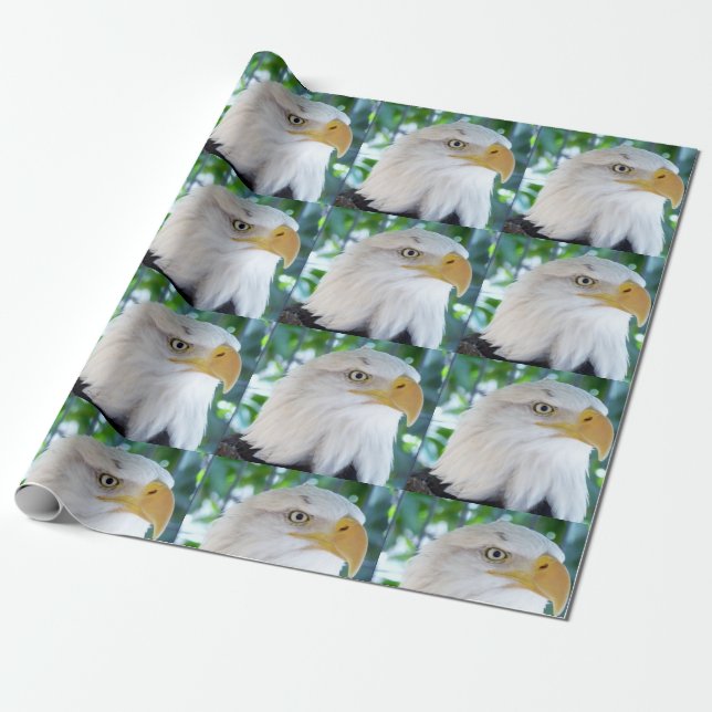 Presente Papel de enrolamento da águia (Desenrolado)