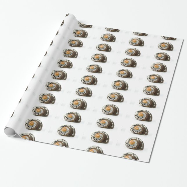 Presente Papel de enrolamento de conchas marítimas (Desenrolado)