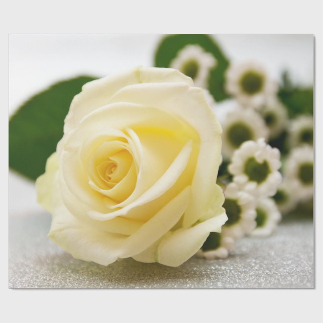 Presente Papel de enrolamento do Dia de os namorados de ros (Aberto)