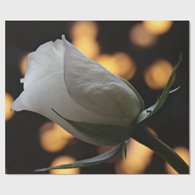 Presente Papel de enrolamento do Dia de os namorados de ros (Aberto)